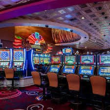 jilievo Live Casino